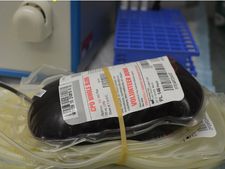 রক্ত শূন্য হচ্ছে আমার দেশ! 