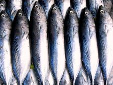 প্রতিদিন মাছ খাওয়া স্বাস্থ্যের পক্ষে কি উপকারি? 