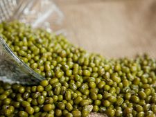 নিয়মিত মুগ ডাল খাওয়া উচিত কি? 