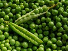 প্রতিদিন কড়াইশুঁটি খাওয়া কি উচিত? 