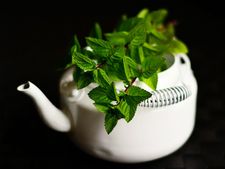 পুদিনা পাতা খান তো? না হলে কিন্তু...!