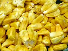 কাঁঠাল খাওয়া কি আদৌ স্বাস্থ্যকর?