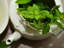 নিয়মিত পুদিনা পাতা খেলে কত উপকার পেতে পারেন জানেন? 