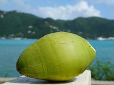 প্রতিদিন ডাবের জল খাওয়া উচিত কেন জানেন?  