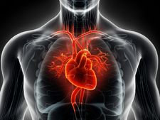 নিয়মিত একটু হাঁটাহাঁটি করলে হার্ট অ্যাটাকের আশঙ্কা কমবে চোখে পরার মতো!