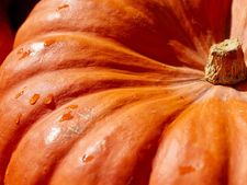 সুস্থ থাকতে প্রতিদিন কুমড়ো খাওয়া জরুরি কেন জানেন? 