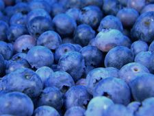 নিয়মিত জাম খাওয়ার পরামর্শ কেন দেন চিকিৎসকেরা জানা আছে? 