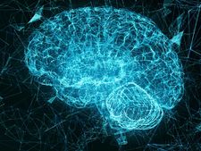 স্মৃতিশক্তিকে যদি বাঁচাতে চান তাহলে আজ থেকেই এই খাবারগুলি খাওয়া শুরু করুন! না হলে কিন্তু...!