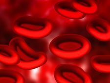 রক্ত বিষিয়ে গেলে কিন্তু মহা বিপদ!