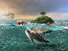 বাড়িতে পেতলের কচ্ছপ রাখলে কী কী উপকার পেতে পারে জানেন?