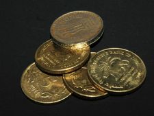 পকেট ভর্তি টাকার মালিক হতে চান? চাহলে বাড়িতে এই জিনিসগুলি রাখতে ভুলবেন না যেন! 