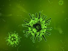 নিপাহ ভাইরাস থেকে সাবধান! 