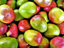 গরমের সময় নিয়মিত আম খেলে কী হতে পারে জানেন? 