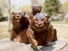 বাড়িতে সিংহের মূর্তি রাখলে কী কী উপকার পাওয়া যায় জানা আছে?  