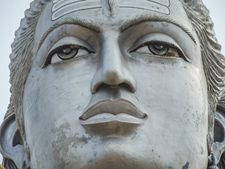 কী কী ফুল দিয়ে শিব ঠাকুরের পুজো করলে দেব বেজায় প্রসন্ন হন জানা আছে?