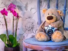 রাশি অনুযায়ী কেমন ধরনের গাছ ড্রয়িং রুমে রাখা উচিত জানা আছে কি সে সম্পর্কে?  