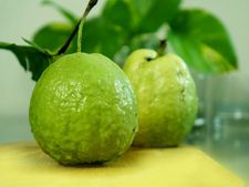 জানা আছে কি প্রতিদিন একটা করে পেয়ারা খাওয়ার পরামর্শ কেন দিচ্ছেন চিকিৎসকেরা? 