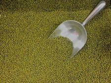 আপনি কি মুগ ডাল খেতে ভালোবাসেন? তাহলে এই লেখাটি না পড়লে কিন্তু ভুল করবেন!