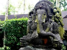 গণেশ চতুর্থি: দূর্বা ঘাস ছাড়া গণেশ ঠাকুরের পুজো করা উচিত নয় কেন জানা আছে? 