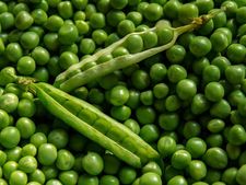 শরীরকে সুস্থ রাখতে প্রতিদিন এক বাটি করে কড়াইশুঁটি খেতে ভুলবেন না যেন...!