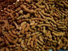 তেঁতুলের চাটনি কি না পাসান্দ? তাহলে কিন্তু চিন্তার বিষয়? 