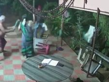 জুতো, চেয়ার ছুঁড়ে দুষ্কৃতি তাড়ালেন প্রবীণ দম্পতি! ভাইরাল ভিডিয়ো