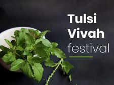 তুলসী বিবাহ ২০২০ : কেন পালন করা হয় এই উৎসব? জানুন তাৎপর্য 