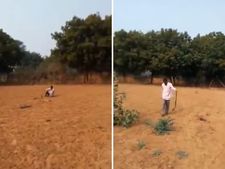 'নেহি যানে দুঙ্গা তুঝে', সাপের সঙ্গে চ্যালেঞ্জ এক ব্যক্তির, দেখুন ভিডিয়ো