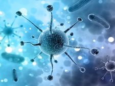 করোনা ভাইরাস প্রতিরোধে কার্যকর মাস্ক কোনটি? 