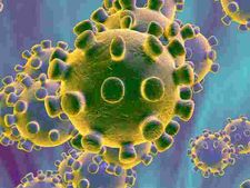 কর্মক্ষেত্রে করোনা ভাইরাস থেকে বাঁচবেন কীভাবে? দেখে নিন পদ্ধতিগুলি