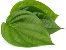 ব্রণ থেকে মুক্তি পেতে ব্যবহার করুন পান পাতা