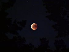 Penumbral Lunar Eclipse : জুনের প্রথম সপ্তাহে হতে চলেছে চন্দ্রগ্রহণ, রইল গ্রহণ সম্পর্কিত সমস্ত তথ্য 