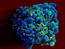 করোনার দাপটের মাঝেই ছড়াচ্ছে মারণ 'চাপারে ভাইরাস', দেখুন গবেষকদের মত