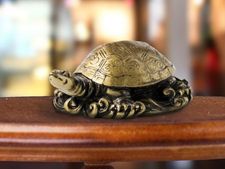 Vastu Tips For New Year 2024: সংসারে সুখ-সমৃদ্ধি ফেরাতে নতুন বছরে এই ৭টি জিনিস ঘরে অবশ্যই আনুন!