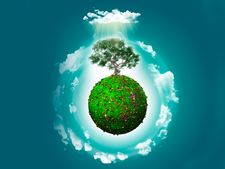 World Environment Day 2021 : কীভাবে শুরু হয় বিশ্ব পরিবেশ দিবস উদযাপন? জেনে নিন ইতিহাস ও এবছরের থিম