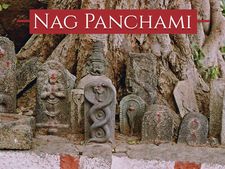 Nag Panchami 2021 : নাগ পঞ্চমীতে রাশি অনুযায়ী নাগ দেবতার পুজো করুন, জীবনে সাফল্য আসবে!