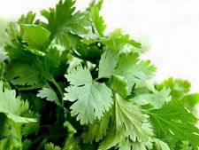 ঘন লম্বা চুল পেতে চান? ব্যবহার করুন ধনে পাতার হেয়ার মাস্ক! দেখুন তৈরির পদ্ধতি 