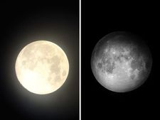 Purnima and Amavasya 2022 List : ২০২২ সালে অমাবস্যা ও পূর্ণিমা কবে কবে পড়েছে? দেখে নিন সম্পূর্ণ তালিকা