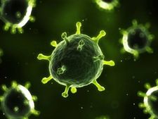 NeoCov Covid Variant : করোনার আরও একটি নয়া স্ট্রেন, বাড়বে মৃত্যু সংখ্যা! সতর্কতা চিনের