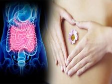 কৃমির সমস্যায় নাজেহাল? ভরসা রাখুন এই কয়েকটি খাবারে!