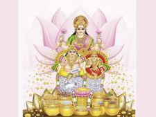 Dhanteras 2023: সোনা-রূপার বদলে এই জিনিসগুলি কিনুন ধনতেরাসে, সারা বছর টাকায় ভরে থাকবে ঘর!