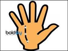 Palmistry for Government Job : হাতে এই রেখা থাকলেই বুঝবেন আপনার সরকারি চাকরি হওয়ার যোগ আছে! 