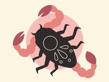 Scorpio Horoscope 2023 : ক্যারিয়ারের ক্ষেত্রে সতর্ক হোন বৃশ্চিক রাশির জাতকরা! কেমন কাটবে ২০২৩ সাল? দেখে নিন 