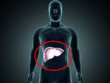 Liver Detox Home Remedy:  ওষুধ নয়, লিভারে জমে থাকা নোংরা পরিষ্কার করে এই ৬ খাবার!