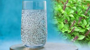 Tulsi Seeds Benefits: শুধু পাতা নয়, তুলসীর বীজেও রয়েছে হাজার গুণাগুণ! জেনে নিন এর উপকারিতা