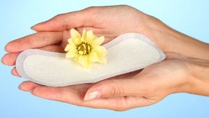 Menstrual Hygiene: স্যানিটারি ন্যাপকিন বদলান ৪ ঘণ্টা অন্তর! নাহলে কী ক্ষতি হতে পারে? জেনে নিন