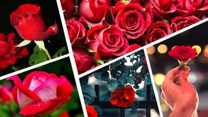 Rose Vastu Tips: গোলাপের এই টোটকায় দূর হবে আর্থিক সংকট, সুখ ফিরবে প্রেম জীবনে!