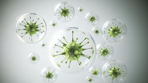 রাজ্যে বাড়ছে অ্যাডিনো ভাইরাস সংক্রমণ! কী ভাবে বুঝবেন আপনি এই ভাইরাসে আক্রান্ত কি না?