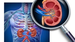 World Kidney Day 2023: রোজকার এই ৬ অভ্যাসেই সুস্থ থাকবে কিডনি! দেখুন কী করবেন