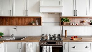 দোকানে না দিয়ে বাড়িতেই পরিষ্কার করুন কিচেন চিমনি! রইল সহজ টিপস